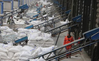 發(fā)展集團內部運輸市場 價值、機遇與策略